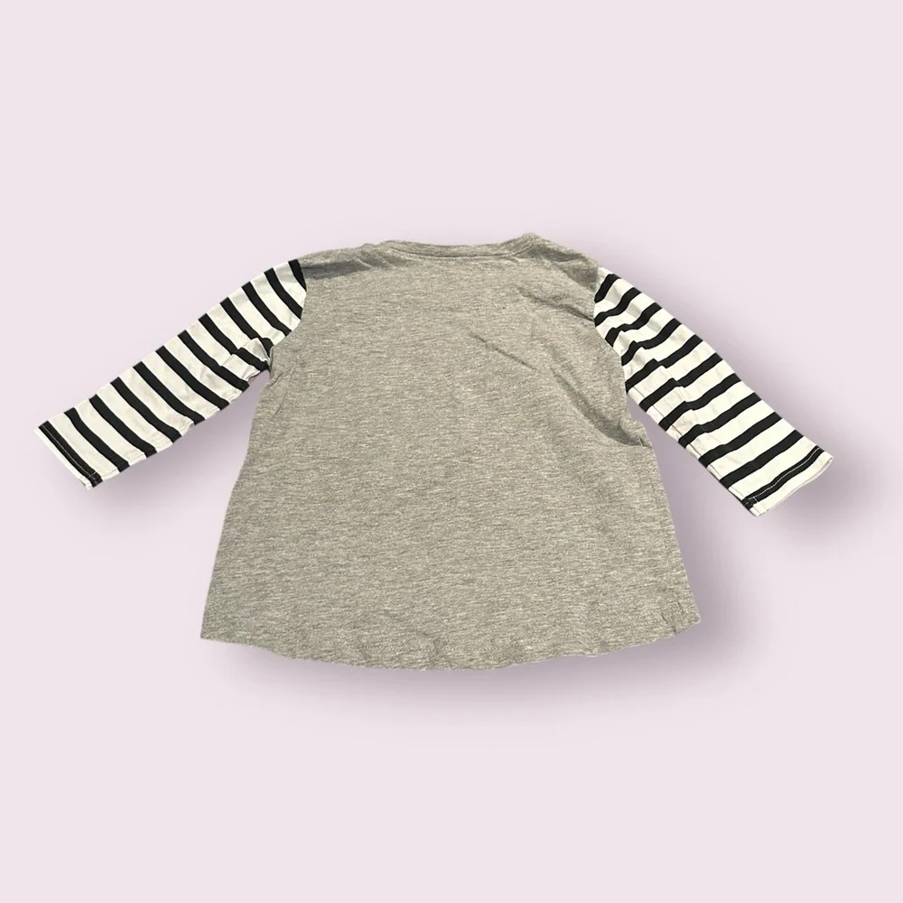 Toddler Reebok Kids Gray And Stripe Wild Hockey Long Sleeve Tee